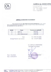 Annual Turnover Statement - 24.06